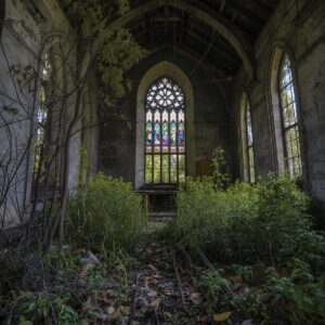 Read more about the article 20 Hidden Reasons We’re Attracted to False Prophets & Toxic Churches